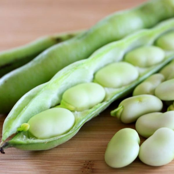 WhatsApp Image 2020 12 11 at 7 01 23 PM