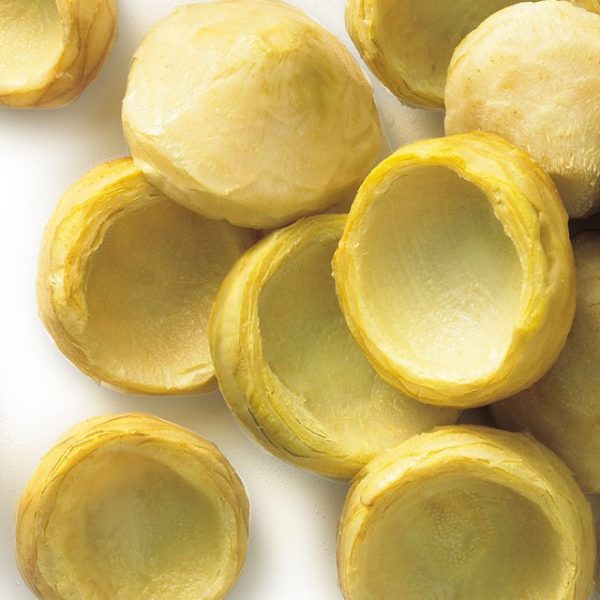 WhatsApp Image 2020 12 11 at 7 01 24 PM (1)